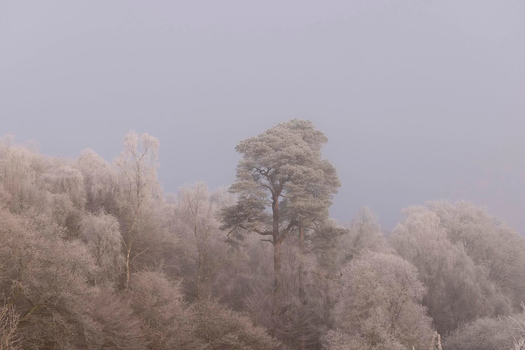 Colour at Work - Kate Davies & Felicity Ford - Image 7