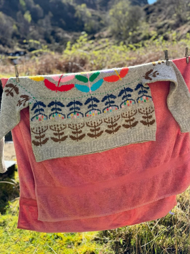 Polina Pullover KAL - Image 5