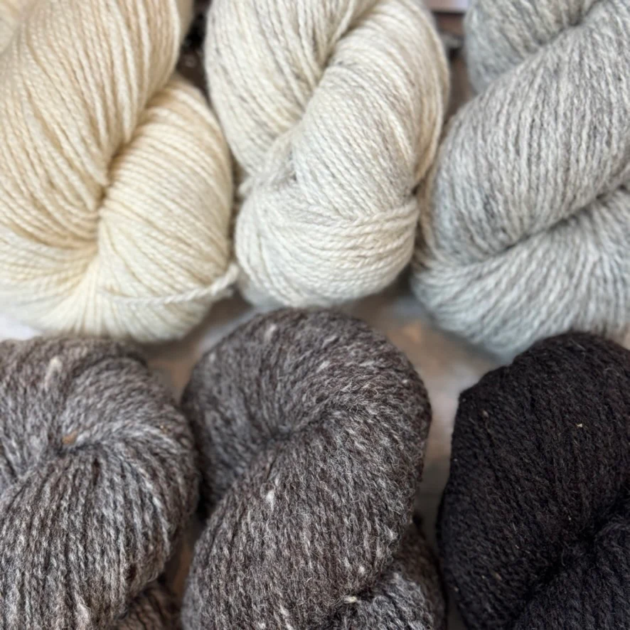 Uist Wool DK - Image 16
