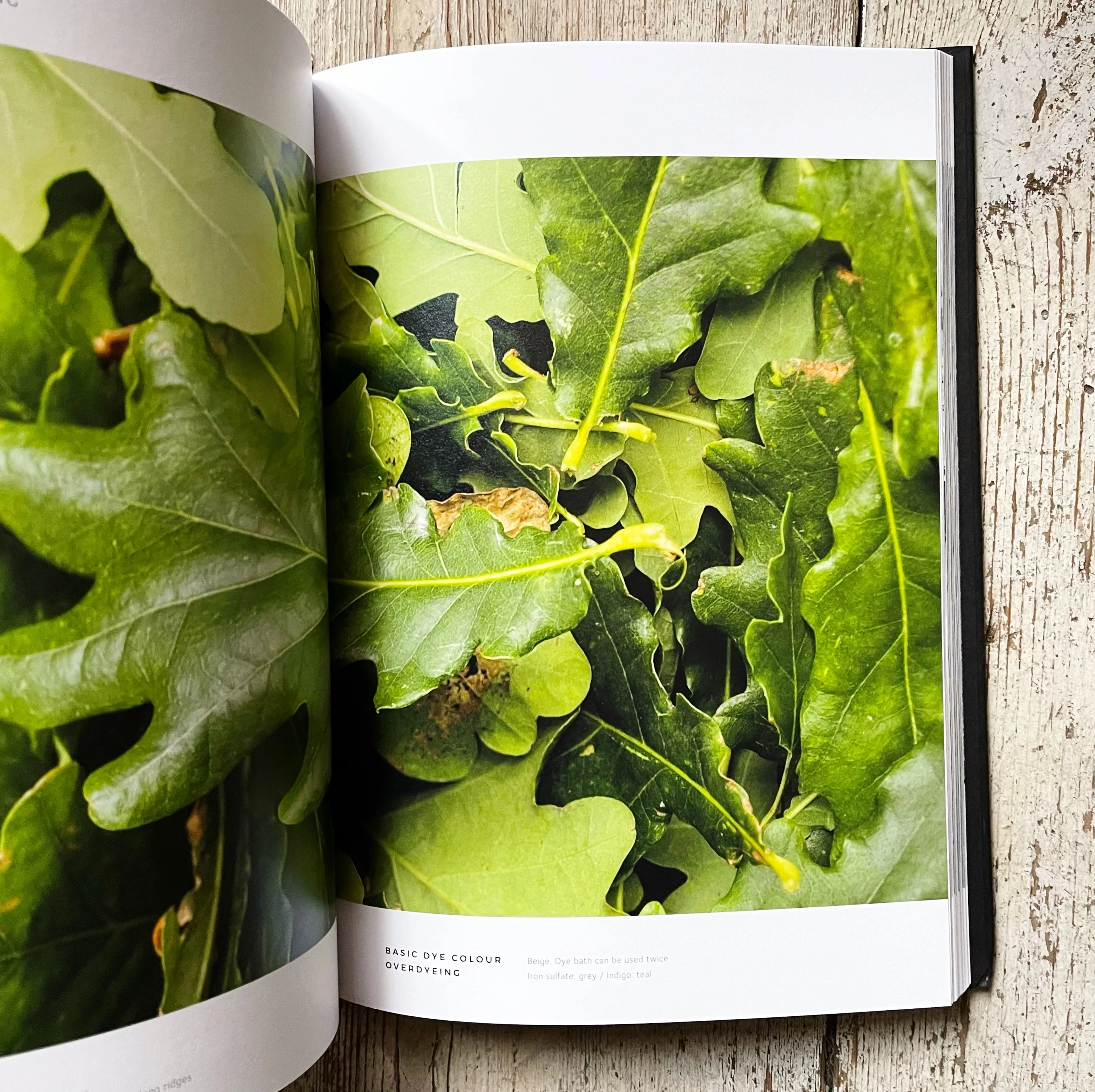 The Colours of Nature by G-uld, English Edition - Image 13