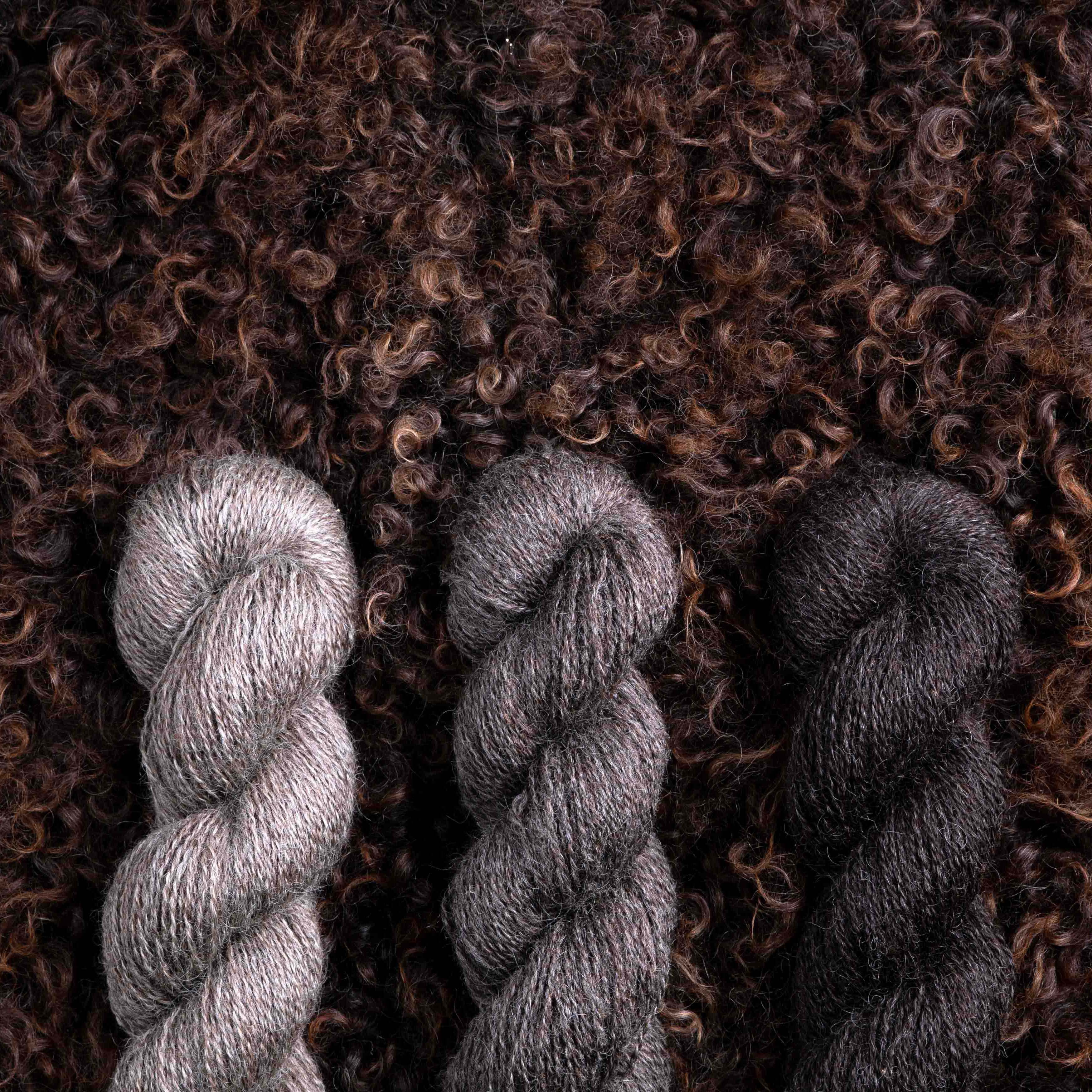 The Raw Wool Company 4ply - Image 11